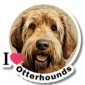 An image of a sticker on a white background. The sticker features an illustration of an otterhound's face with text alongside it reading , 'I Love Otterhounds.' The word love is not present but represented by a red heart.