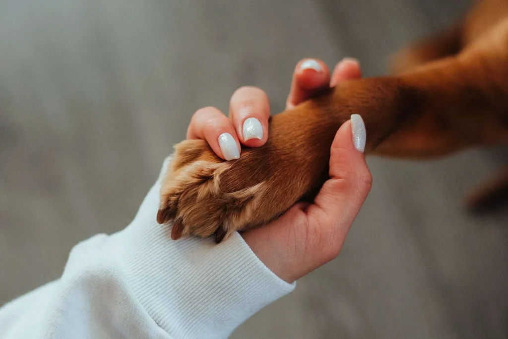 Woman holding paw of dog with sandy red fur.
